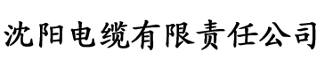 精品亚洲av无码专区毛片电缆厂logo